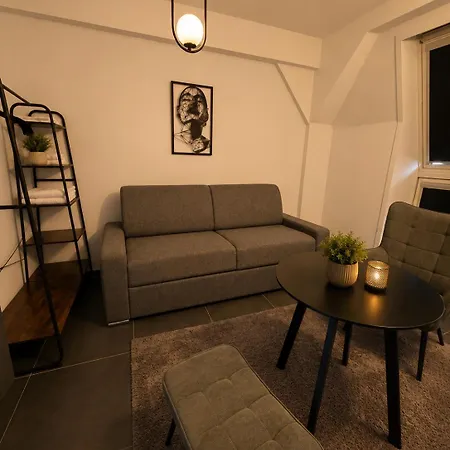 Elbflorenz Familien دريسدن