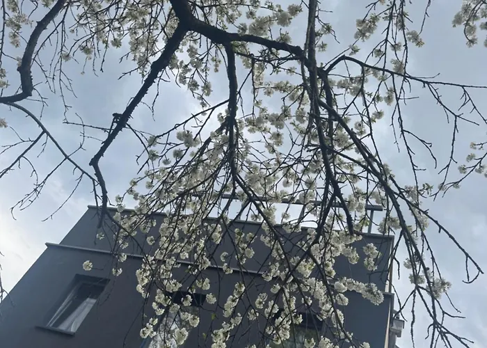 Elbflorenz Familien Dresden