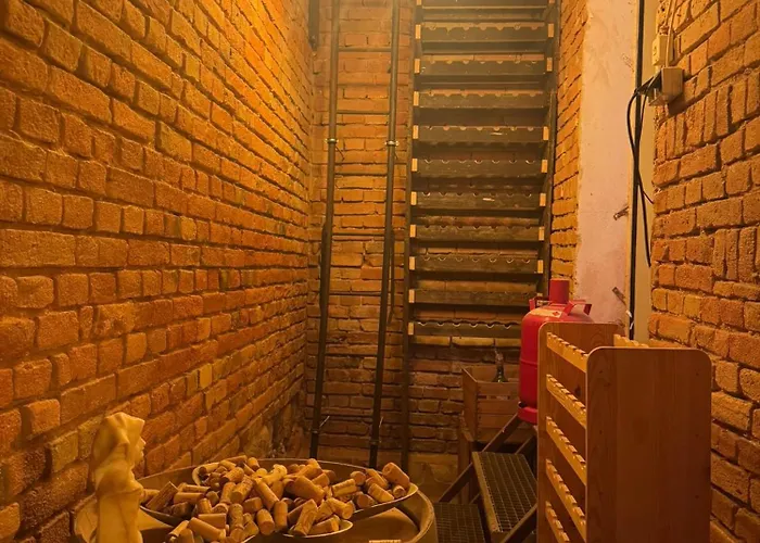 Elbflorenz Familien Dresda