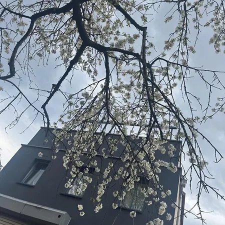 Elbflorenz Familien Dresden